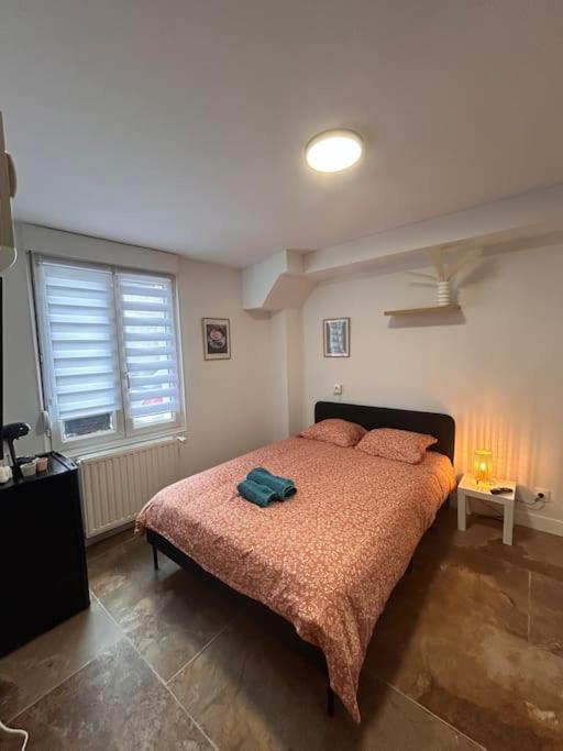 La Ptite Albi Home Nancy Exterior foto